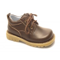 Alek Brown Leather Shoe