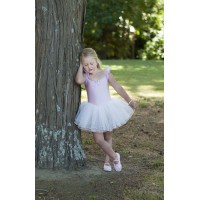 Sleeping Beauty Tutu