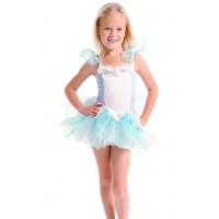Fairy Girls Cinderalla Tutu Dress