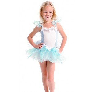 Fairy Girls Cinderalla Tutu Dress